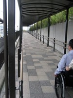 Medium_img_2653 (480x640)
